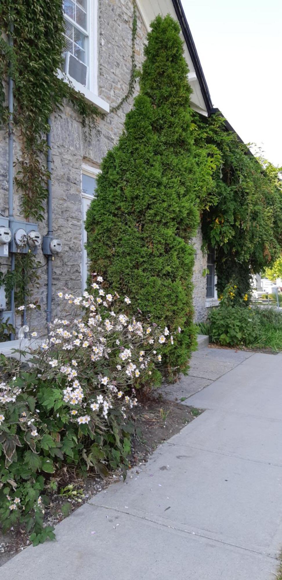 Stone Carriage House Βίλα Picton Εξωτερικό φωτογραφία