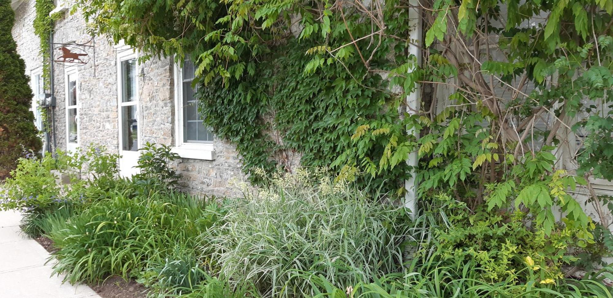 Stone Carriage House Βίλα Picton Εξωτερικό φωτογραφία