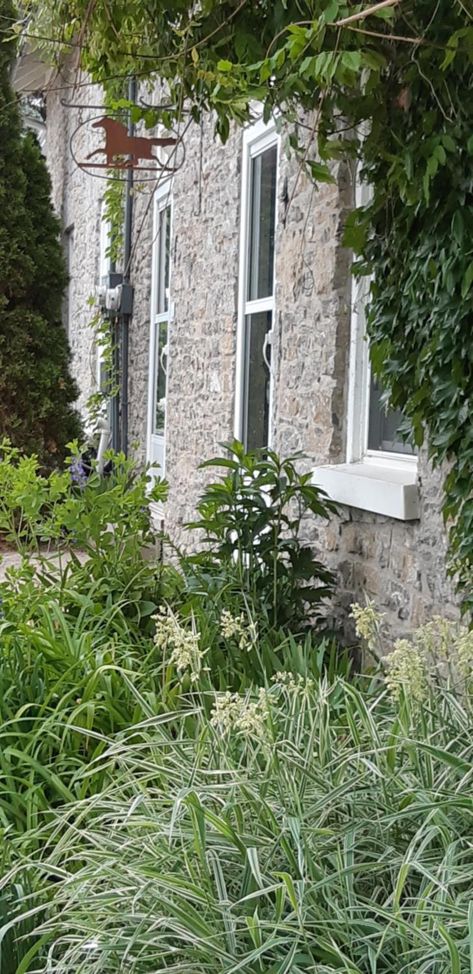 Stone Carriage House Βίλα Picton Εξωτερικό φωτογραφία